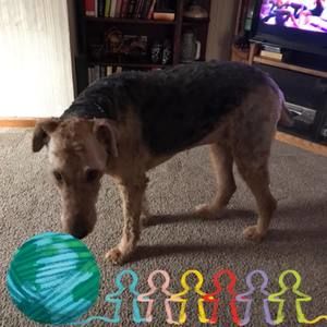 Meet your Posher, Anna